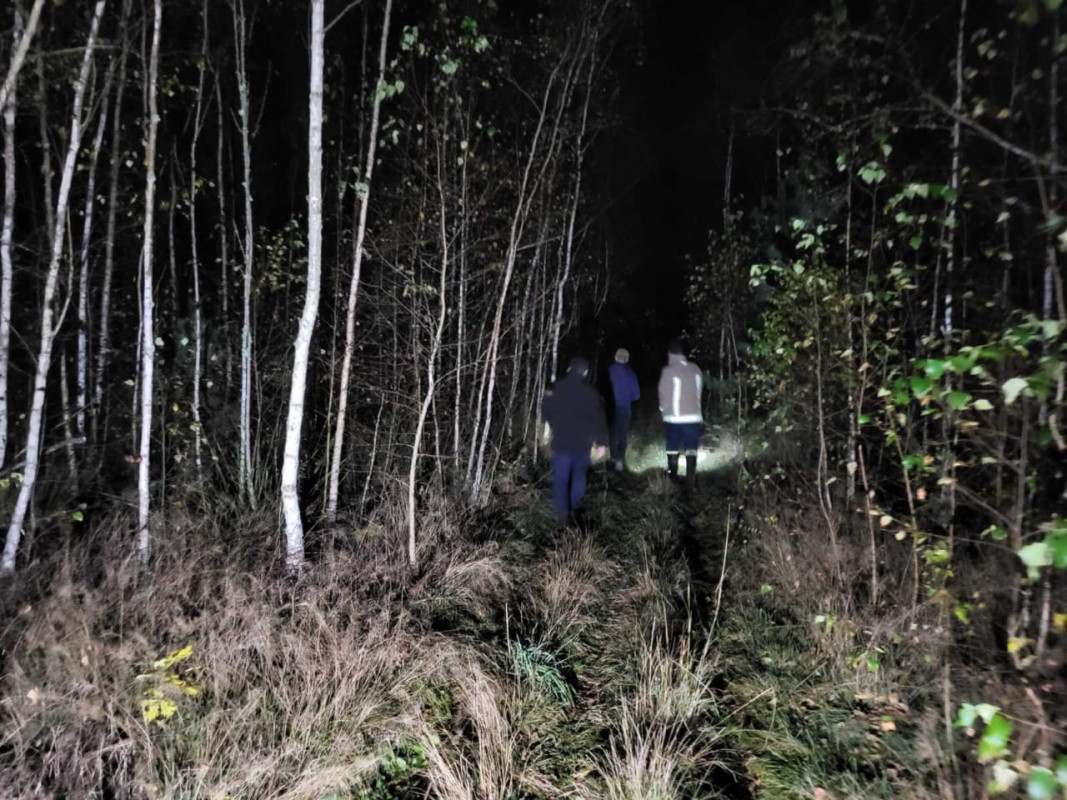 Посеред ночі в лісі на Волині знайшли зниклого раніше чоловіка