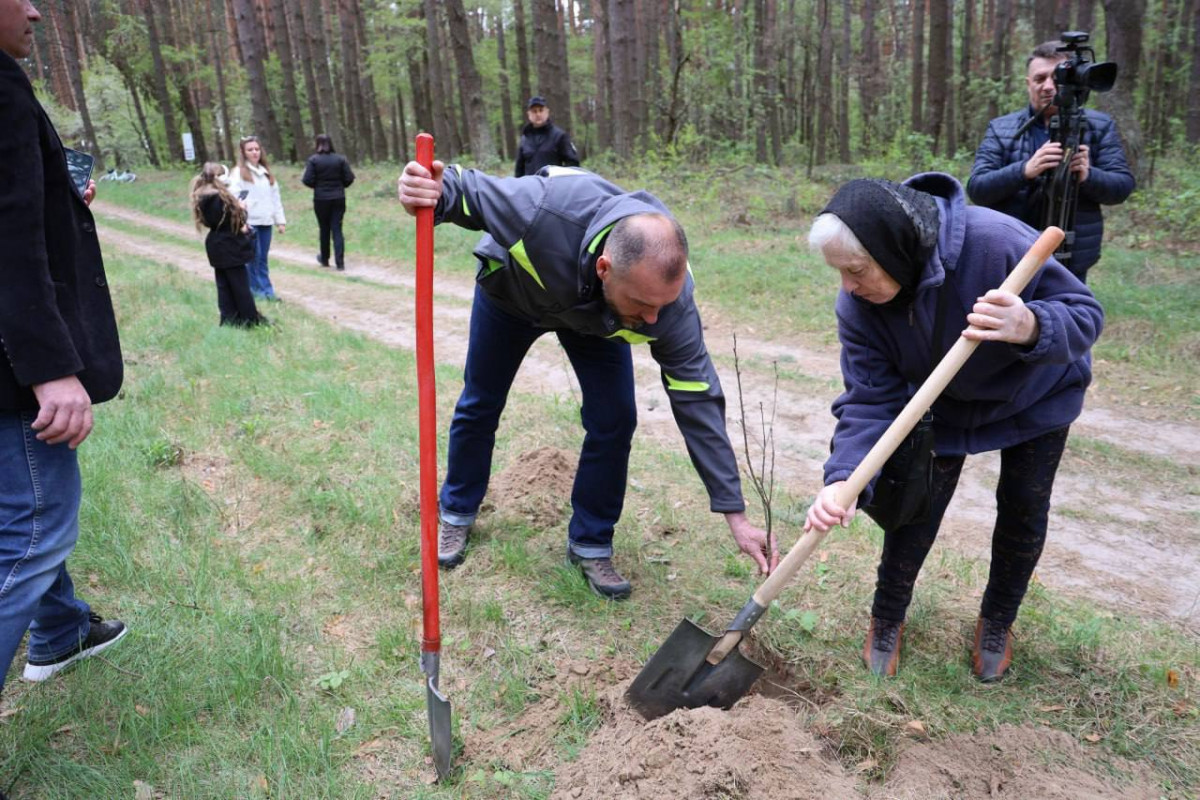 У Кульчині висадили 130 дубів у пам’ять про полеглих захисників