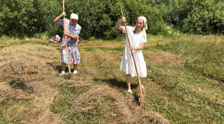 Сінокос по-волинськи: з дідівською косою, обідом у затінку та спогадами про поліські болота