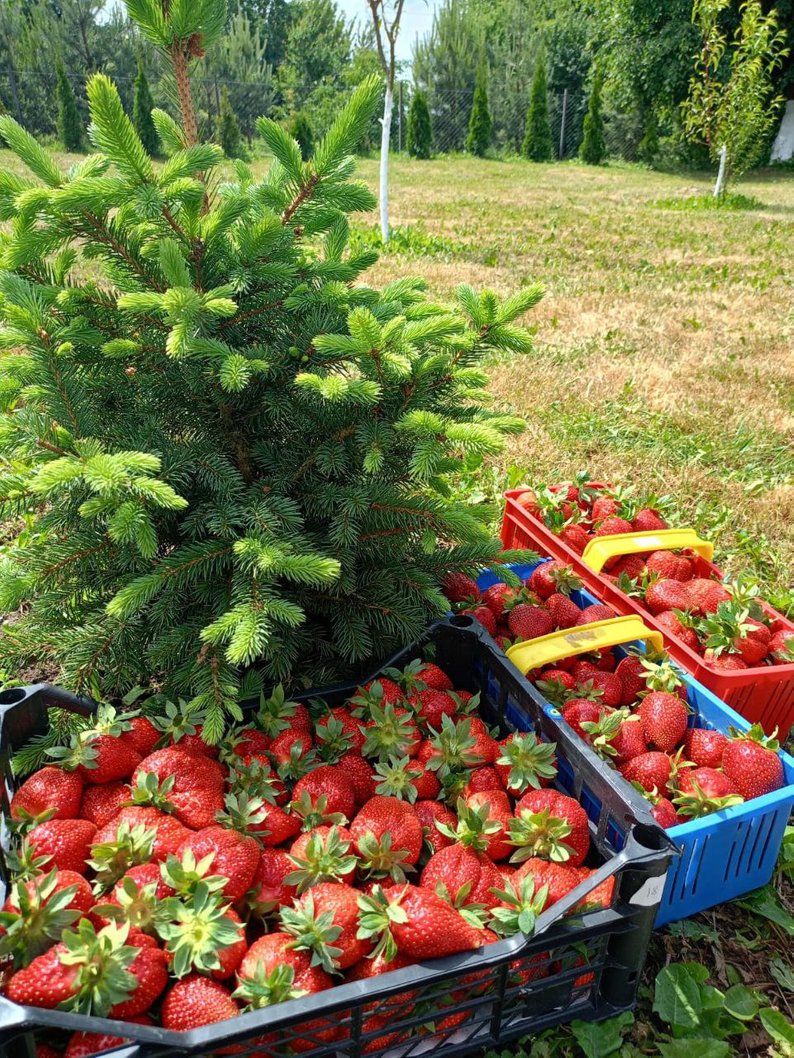 Життя між норами і перестрілками: прикордонник «Корея» з Волині про 131 день на передовій