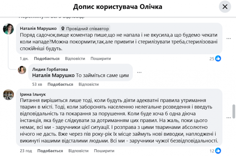 У Луцьку на дорослих та дітей знову нападають зграї собак: що відомо та як діяти