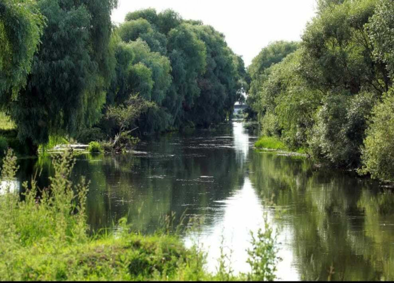 Річки Волині впали нижче історичних мінімумів: де вода досягла рекордних позначок