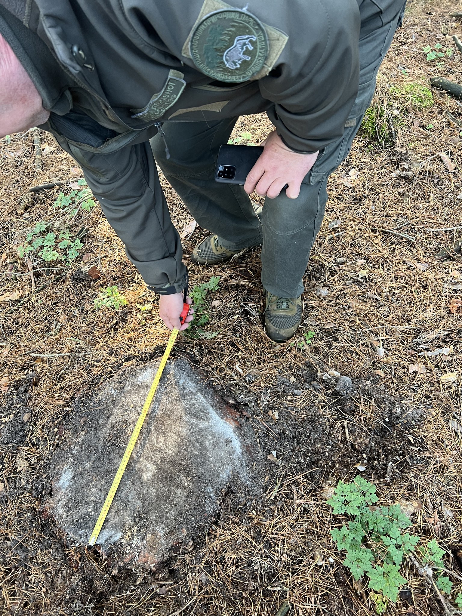 У Луцькому районі на території нацпарку виявили незаконну рубку лісу на майже 2 млн грн