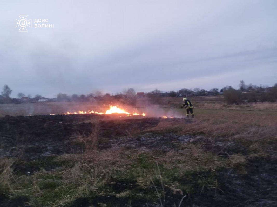 Через підпали на Волині за добу вигоріло понад 12 гектарів сухостою