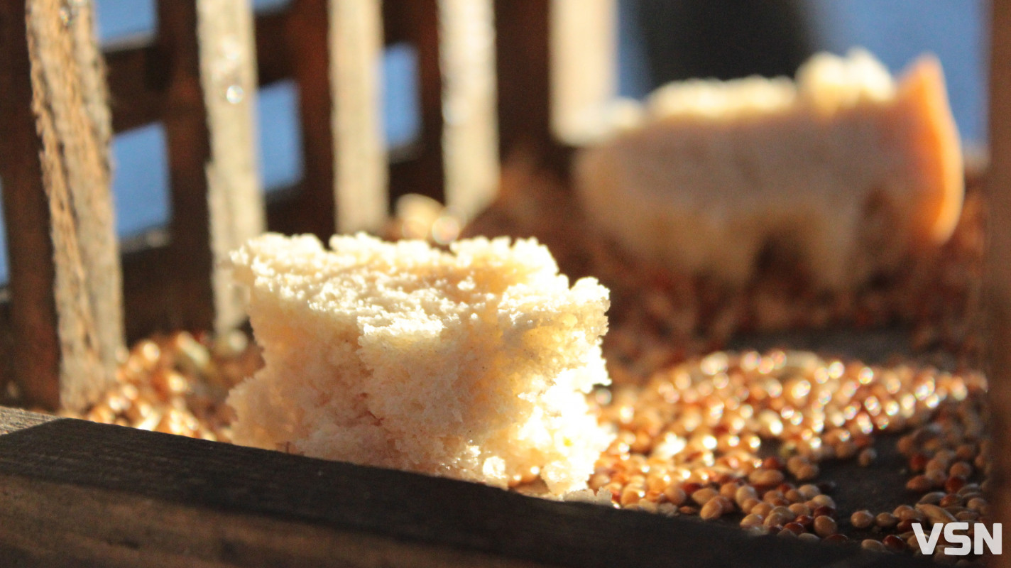 Засніжений Луцьк: як виглядають парки та двори міста взимку напередодні Нового 2026 року. Фоторепортаж