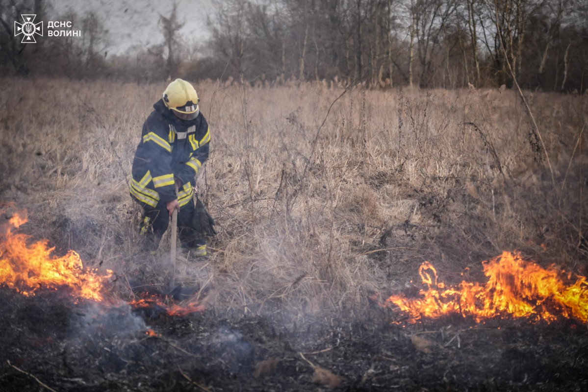 Масштабна пожежа у Луцьку: горіло кілька гектарів Гнідавського болота