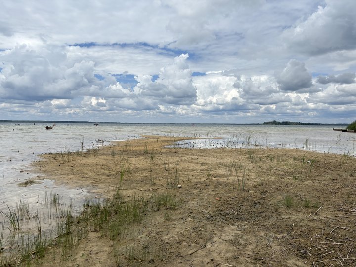 Дощі не врятували Світязь: рівень води в найбільшому озері Волині продовжує знижуватися