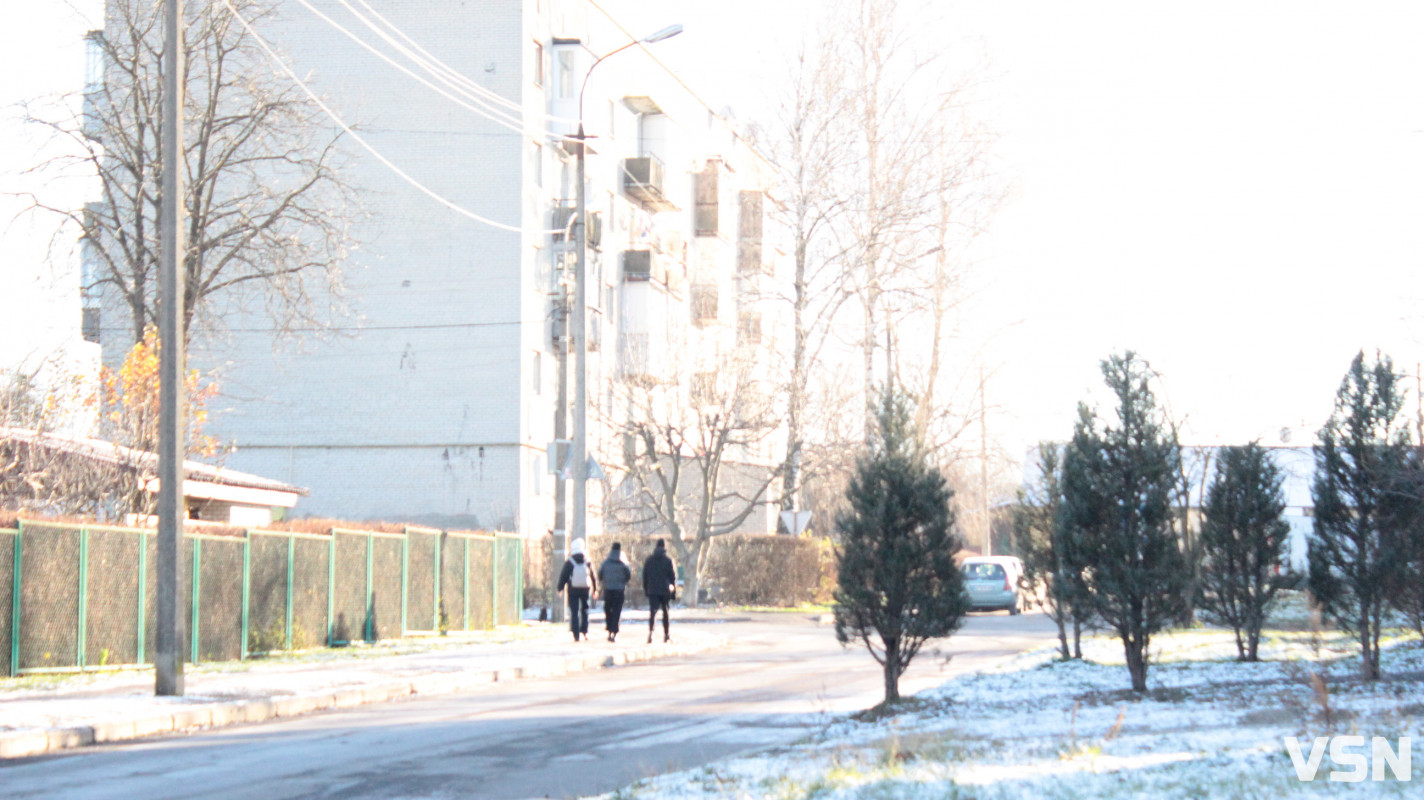 Засніжений Луцьк: як виглядають парки та двори міста взимку напередодні Нового 2026 року. Фоторепортаж