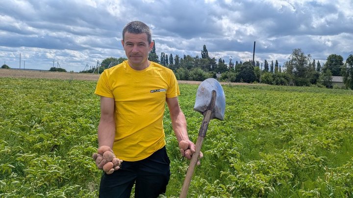 На Волині вперше за 30 років картоплю не обробляють від колорадського жука: що сталося