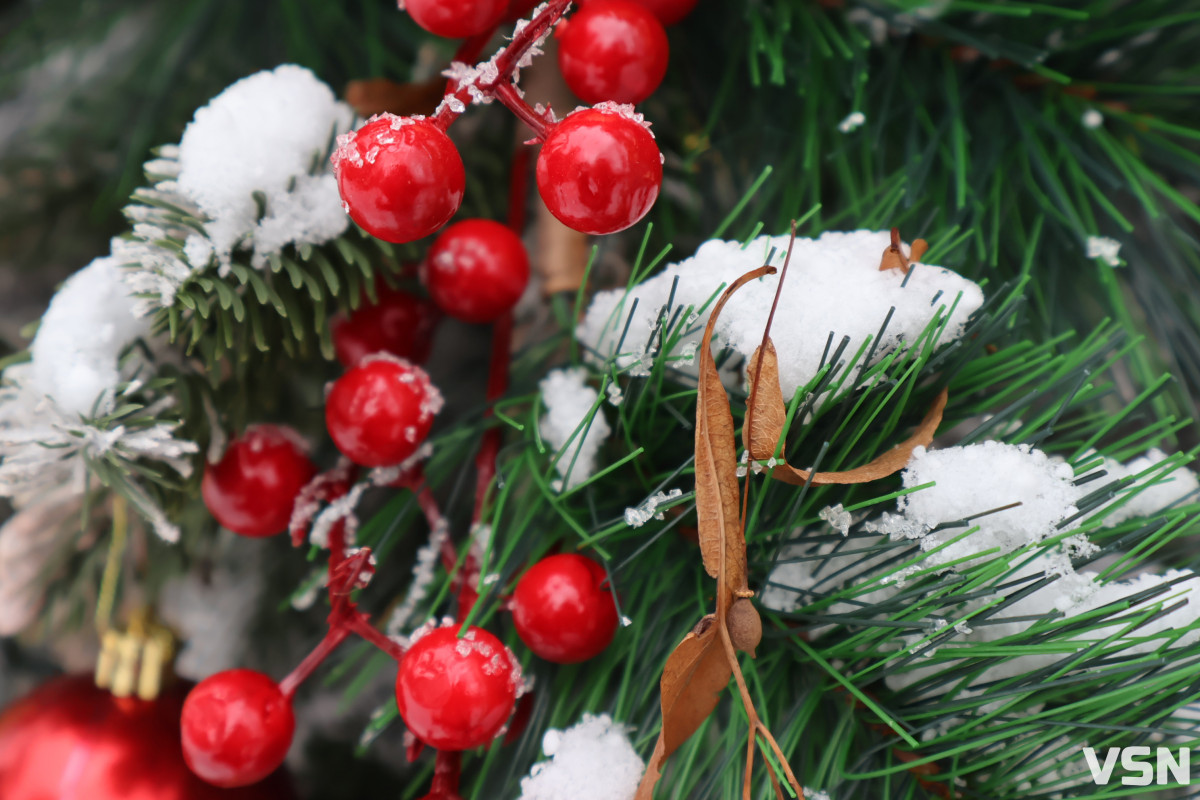 Останній день 2025 у Луцьку: місто в очікуванні Нового року. Фоторепортаж