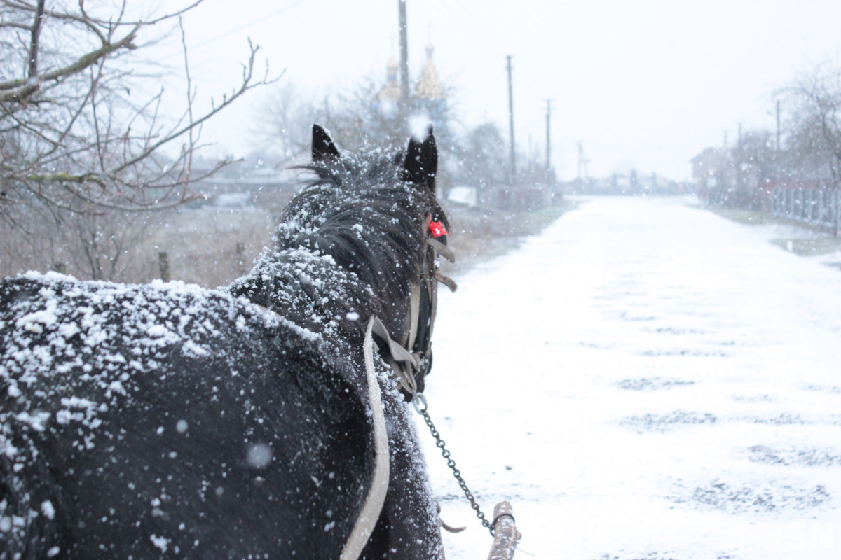 Тунелі у кучугурах та іспити морозом: спогади волинян про справжні поліські зими