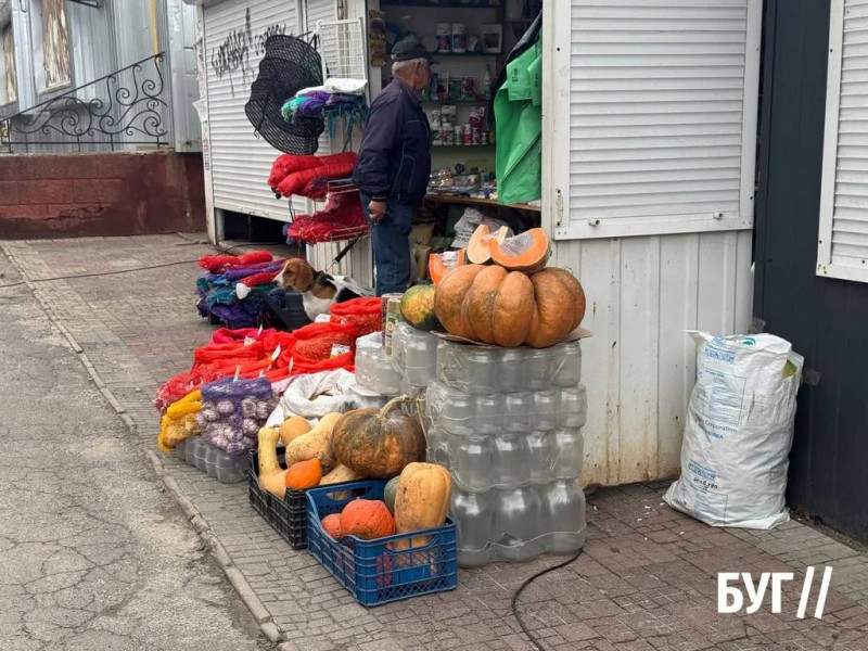 Що продають на осінньому ринку на Волині: ціни на овочі, фрукти та саджанці