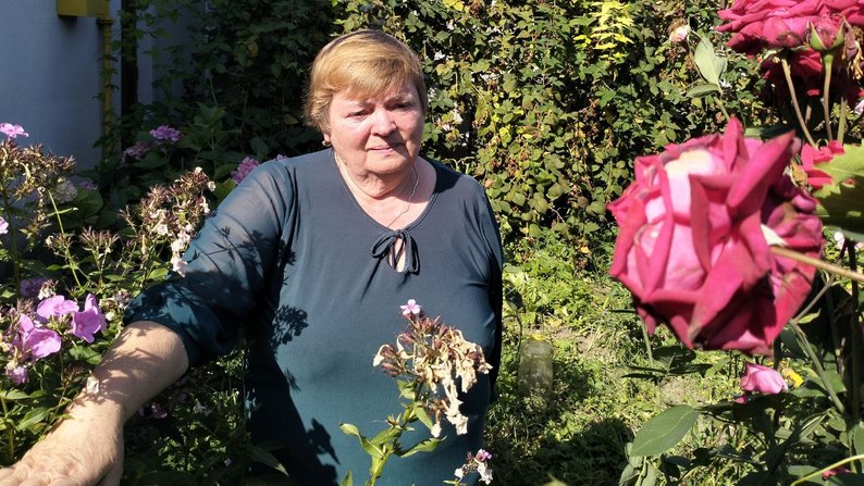 74-річний лучанин виростив сотню кущів помідорів у пам’ять про сина-військового