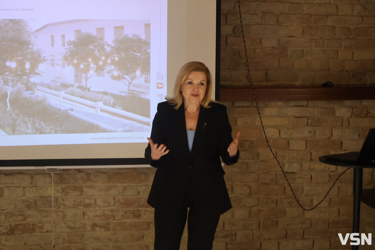 Як планують реорганізувати двори на вулиці Братковського у Луцьку? Фоторепортаж