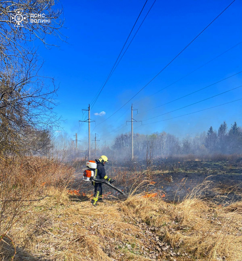 Вогонь підбирався до будинків: за вихідні на Волині вигоріло понад 30 гектарів сухостою