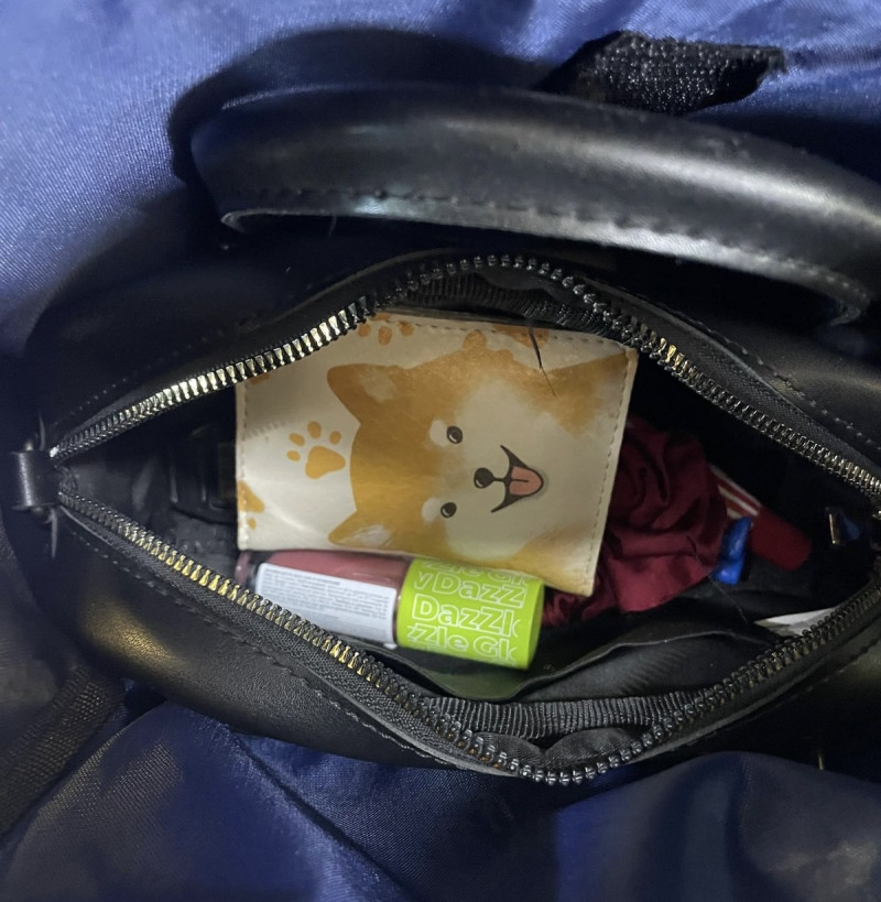 Ціна «грама з Амстердама»: як митні собаки на Ягодині зловили пасажирку з канабісом