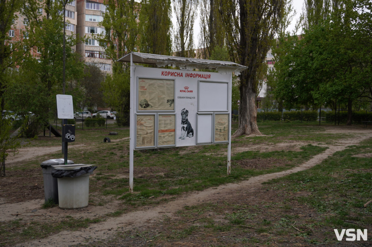 Де в Луцьку можна вигулювати собаку, а де за це оштрафують