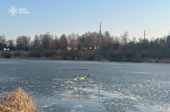 На Волині з крижаної води врятували собаку