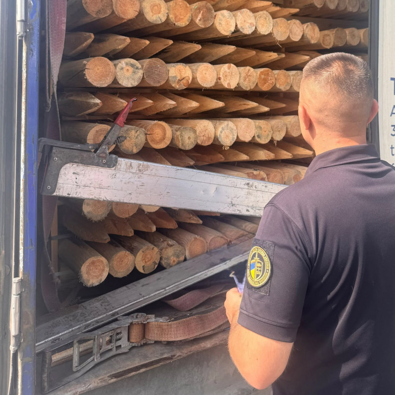 Через волинський кордон хотіли незаконно вивезти деревини на чверть мільйона гривень