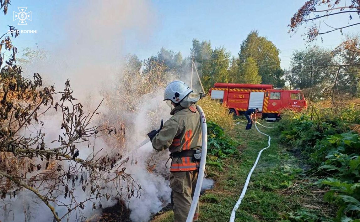 7 пожеж та 11 штрафів: на Волині масово карають паліїв сухостою