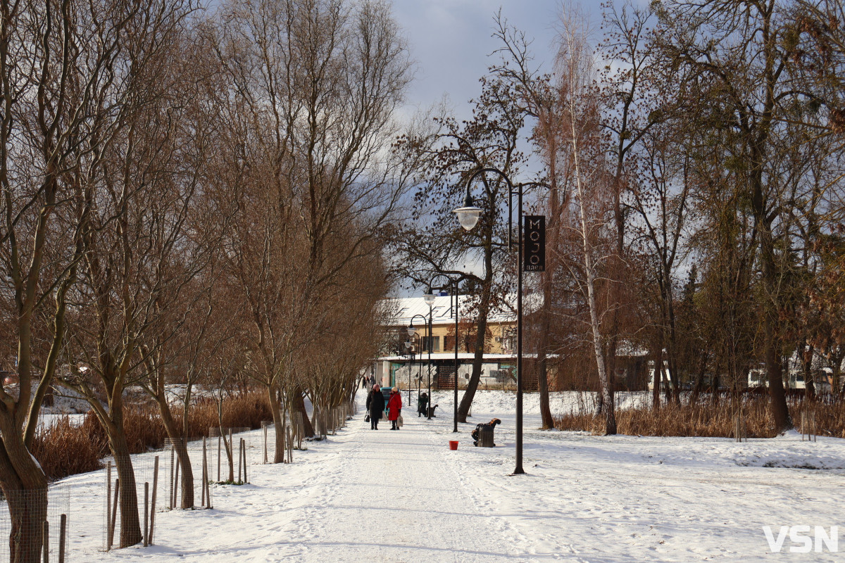 Як виглядає центральний парк у Луцьку у перші дні 2026 року. Фоторепортаж
