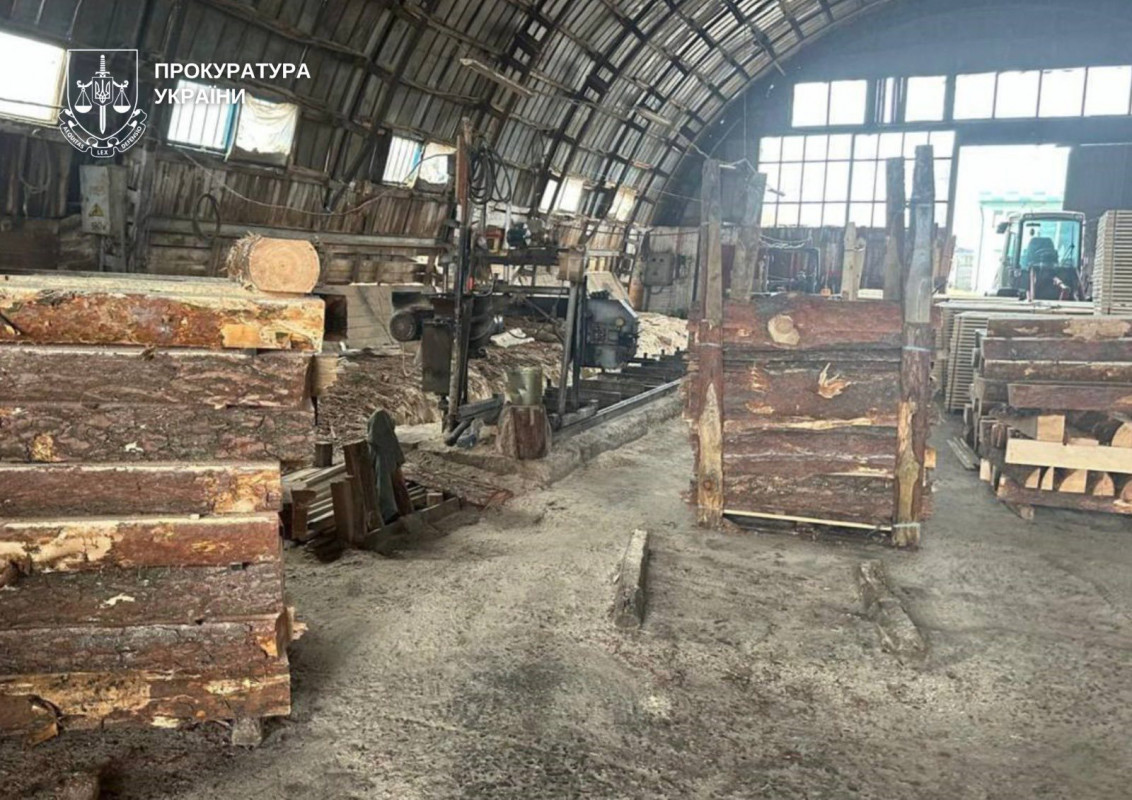 На Волині судитимуть злочинну організацію лісокрадів: збитки понад 6 млн грн