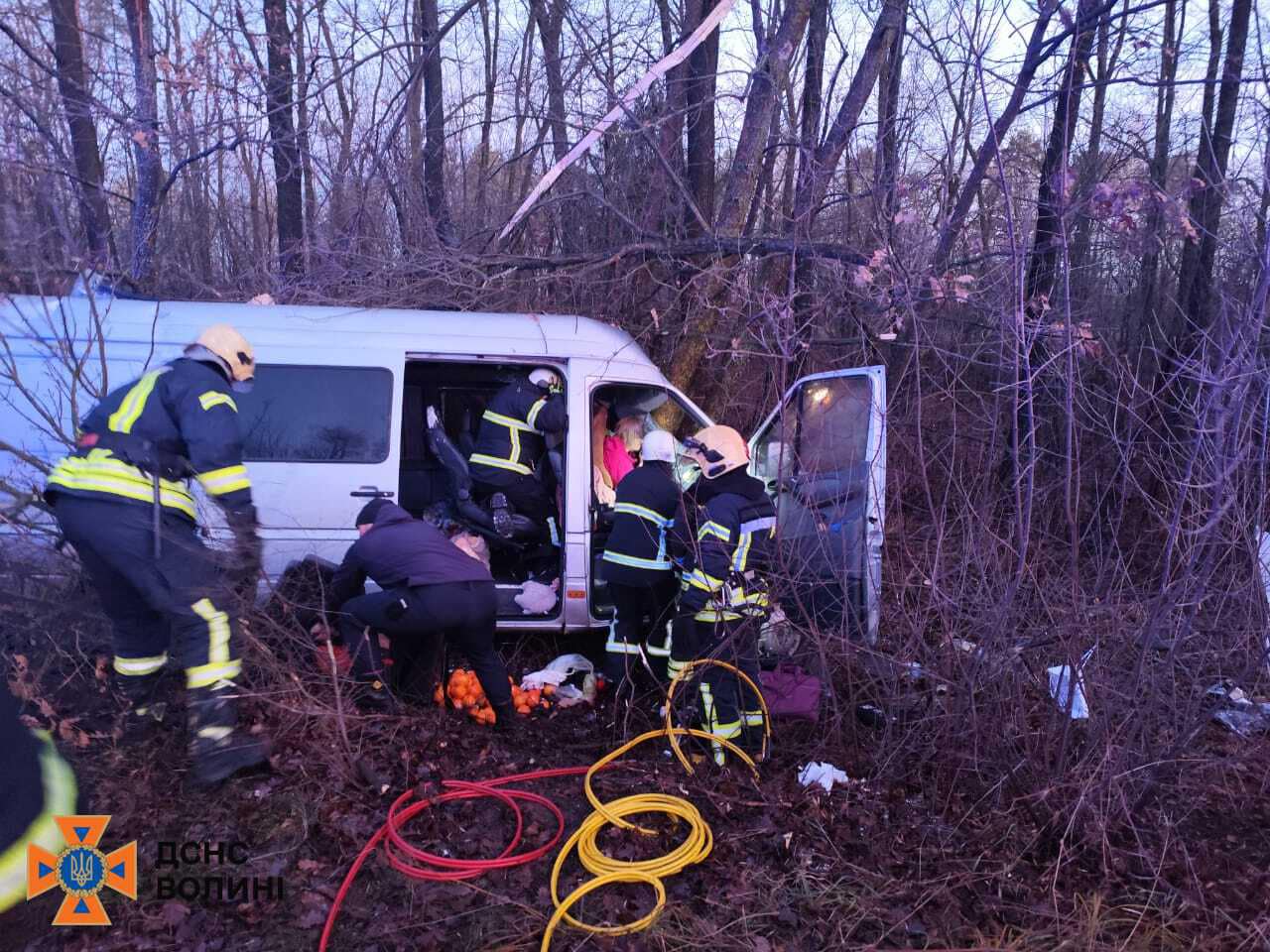 На Волині мікроавтобус злетів у кювет: загинув водій