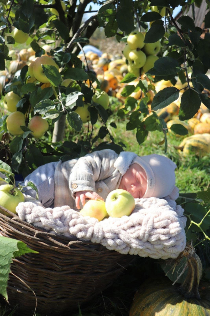 Яблучний рай на Поліссі: секрети успіху волинського садівника