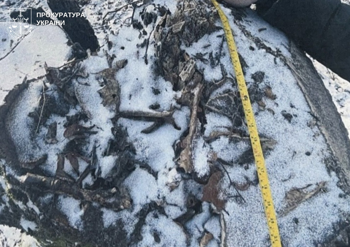 Збитки довкіллю на понад 5 млн грн – на Волині судитимуть майстра лісу