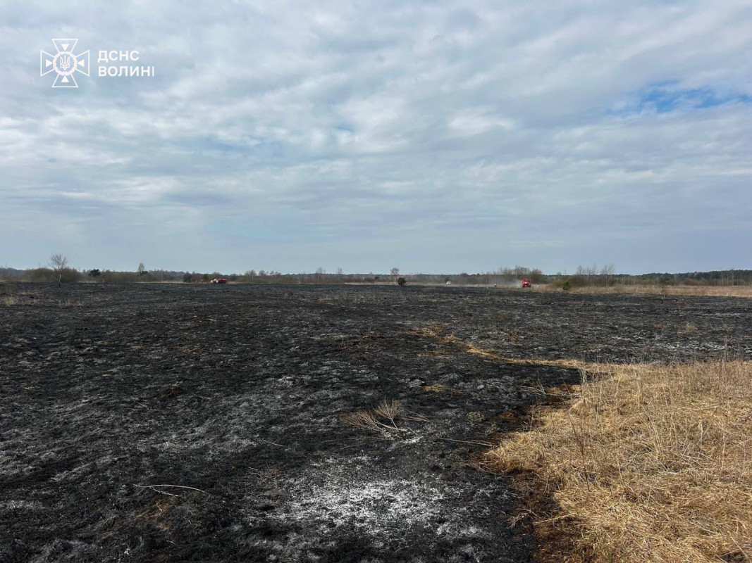 На Волині понад 12 годин гасили торф: за добу ліквідували 13 загорань сухої трави на 10 гектарах