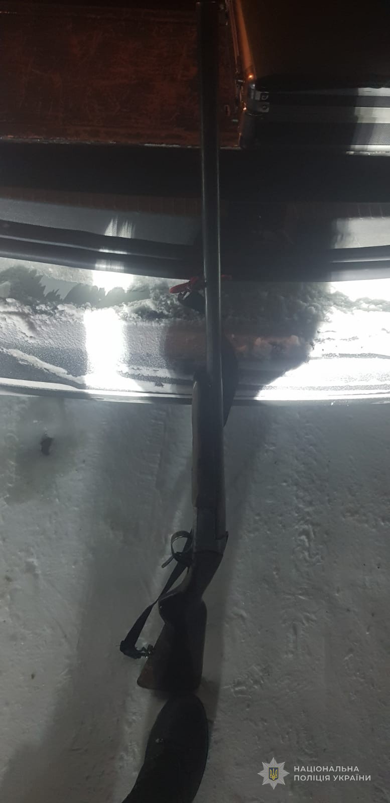 Волинянин незаконно вбив зайця й козу і вирішив відкупитись