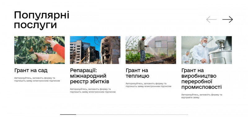 Не лише «Дія»: які державні послуги волиняни можуть отримати онлайн