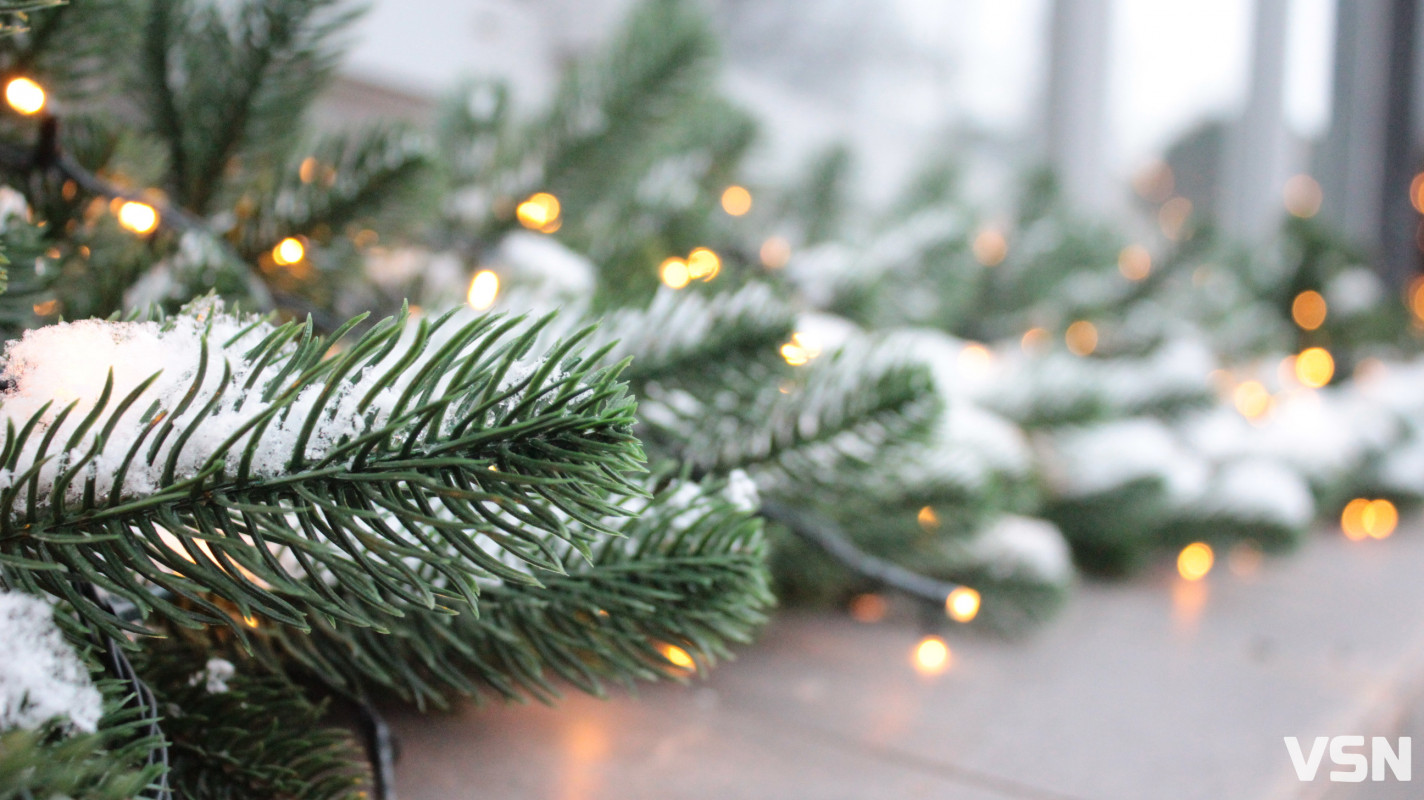 Засніжений Луцьк: як виглядають парки та двори міста взимку напередодні Нового 2026 року. Фоторепортаж