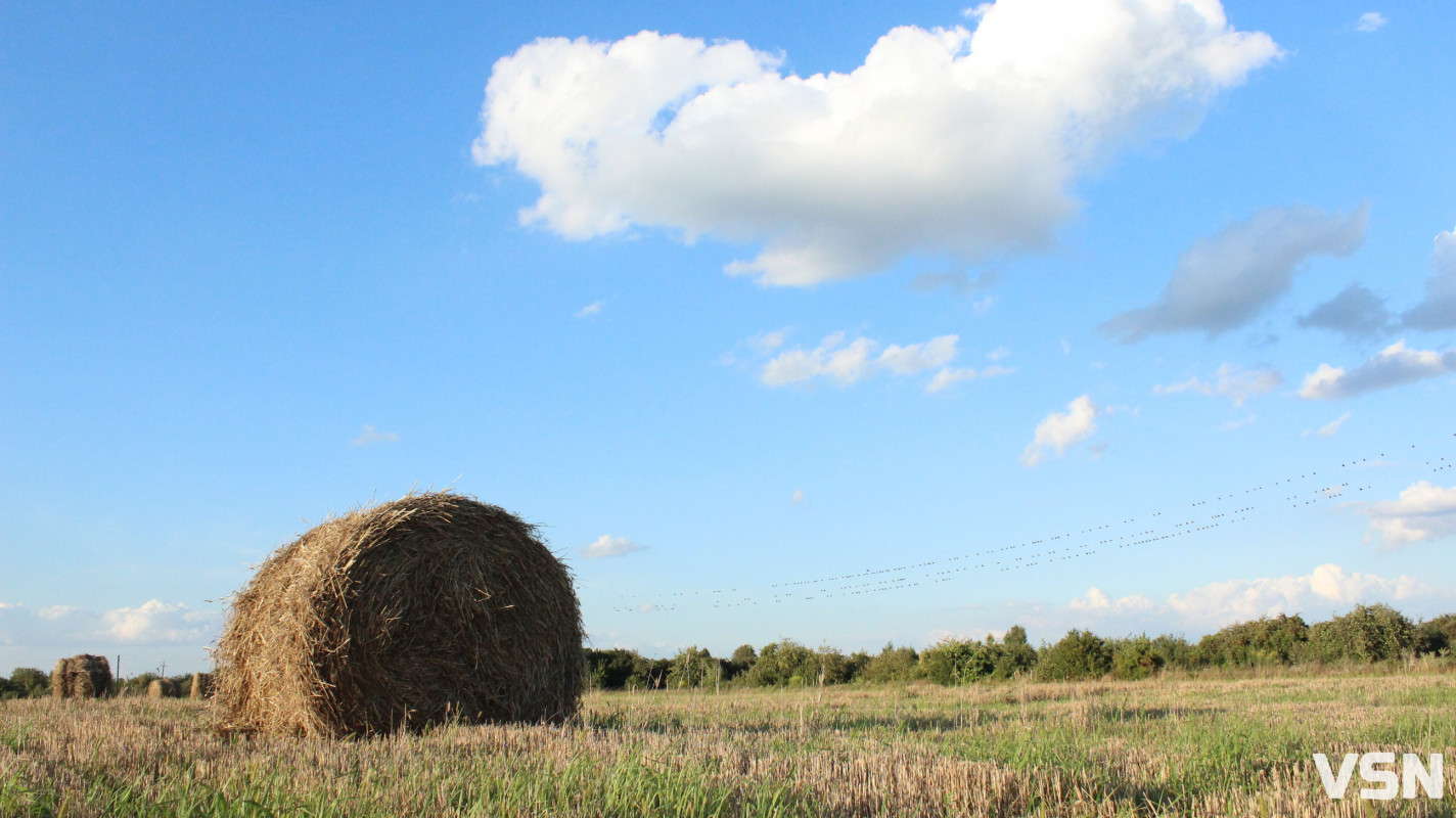 Село Радовичі на Волині з іншого ракурсу. Фоторепортаж