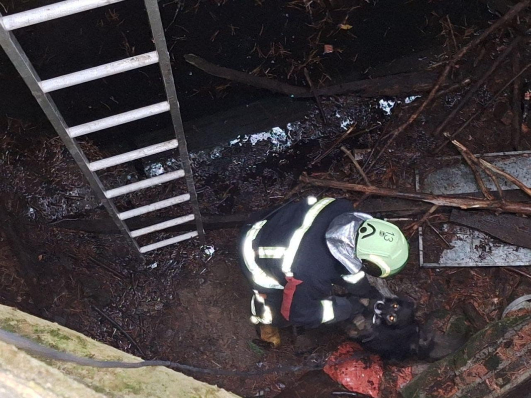 На Волині рятувальники дістали собаку з 5-метрової ями