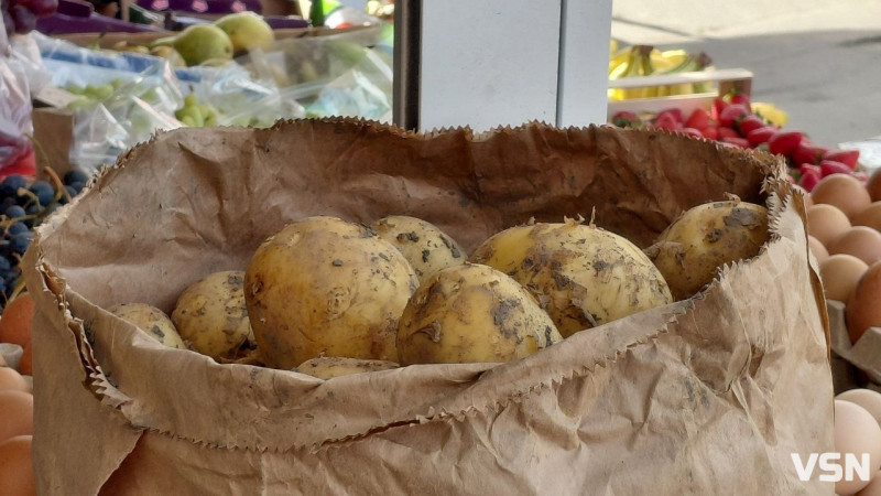 160 грн за кіло: скільки коштує молода картопля у Луцьку