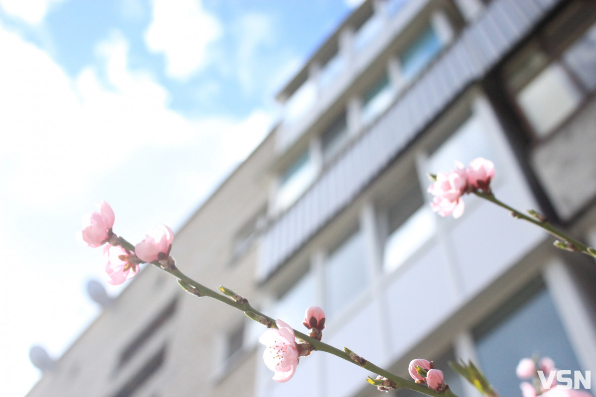 Як виглядає парк 900-річчя у Луцьку навесні 2026. Фоторепортаж