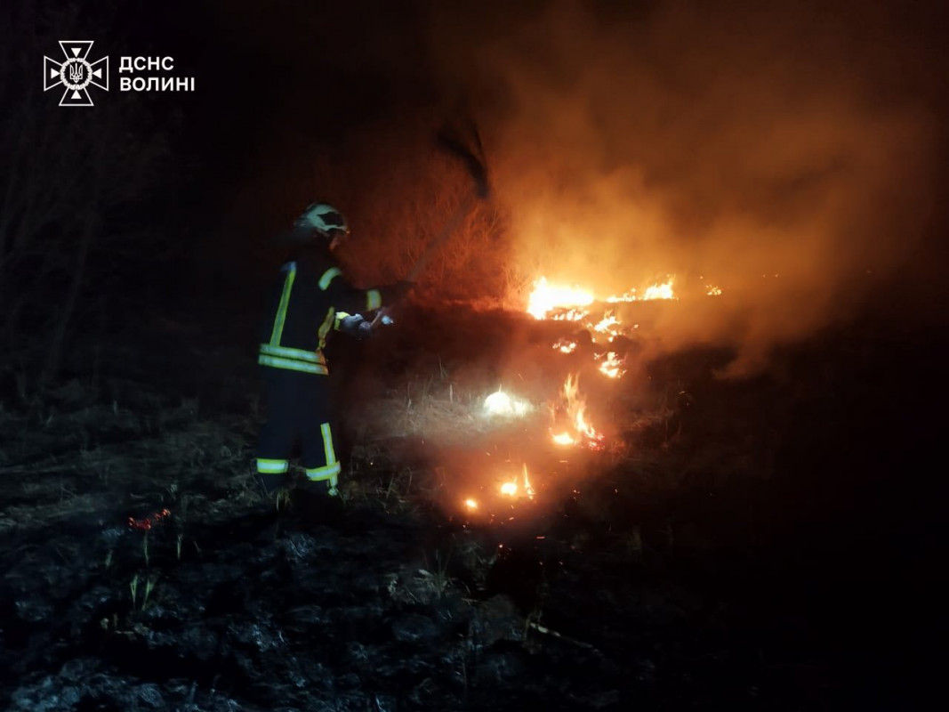 Масові пожежі на Волині: за добу вигоріли гектари сухостою в різних громадах