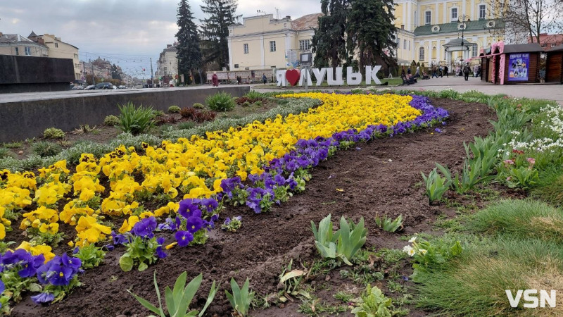 У Луцьку триває озеленення: клумби ще доповнюють квітами