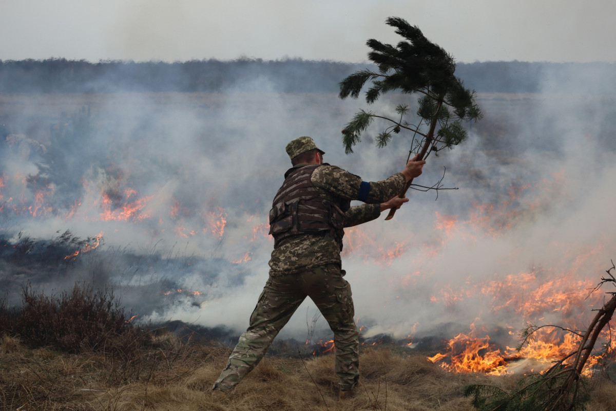 Бійці волинської бригади тероборони ліквідували пожежу в екосистемі