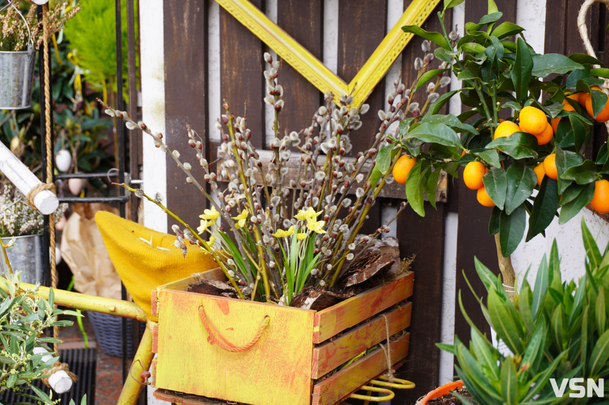 «Не я б’ю — верба б’є»: волинський семінарист пояснив зміст Вербної неділі