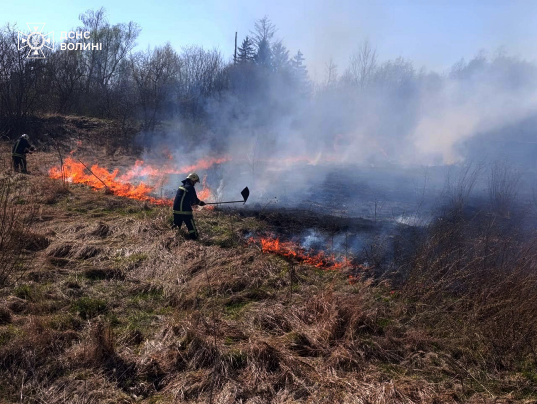 Вогонь підбирався до будинків: за вихідні на Волині вигоріло понад 30 гектарів сухостою