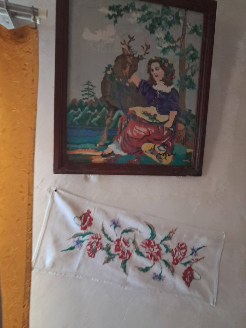 Сама на хуторі у 91 рік: бабуся з Волині вирощує городину та складає вірші про Україну