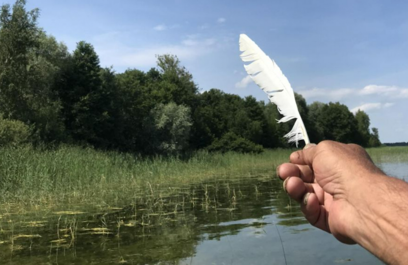 Пташина симфонія, лікувальні водорості та обійми з тополею: чим приваблює туристів острів озера Світязь