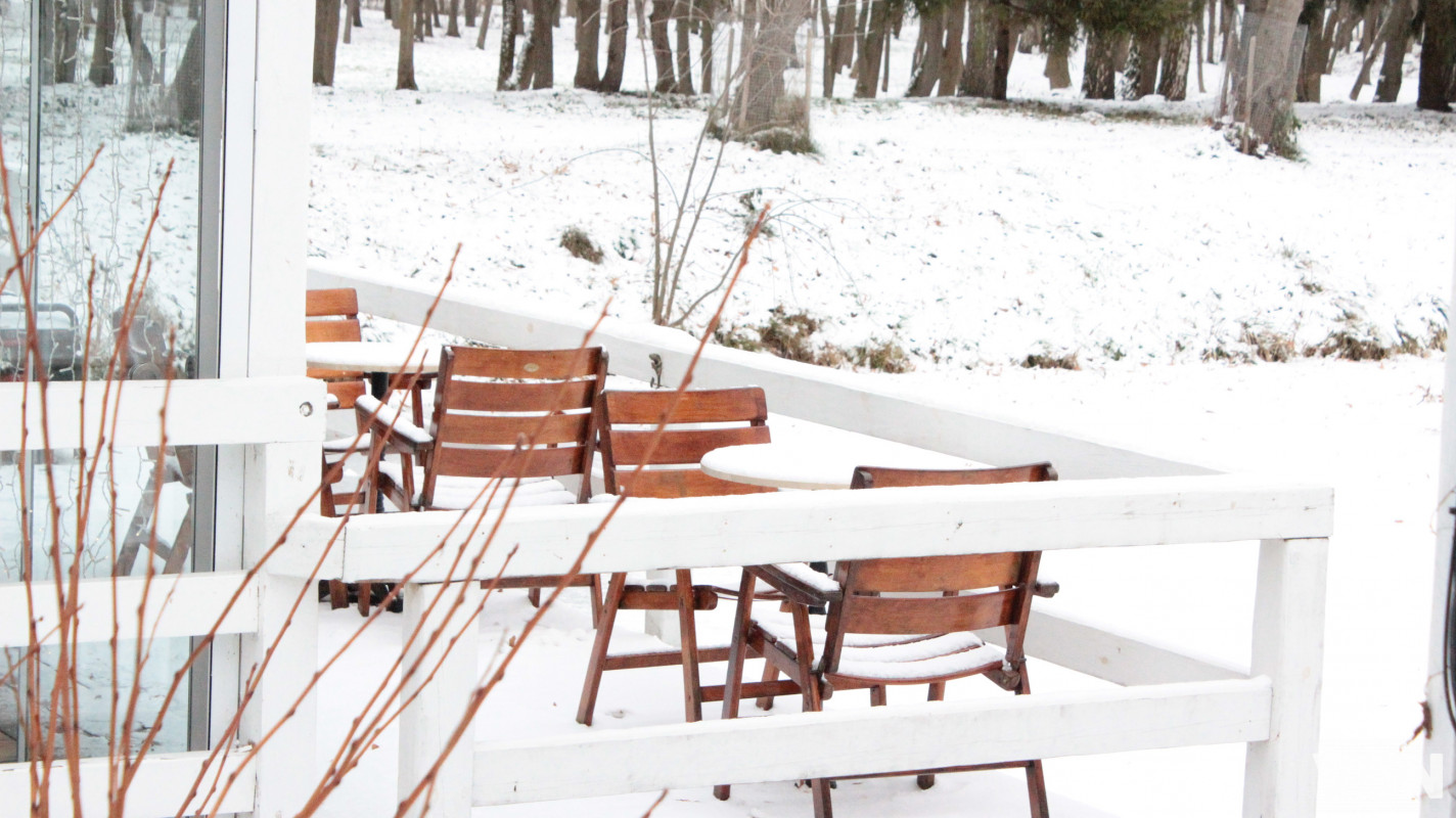 Як виглядає центральний парк у Луцьку у перші дні 2026 року. Фоторепортаж