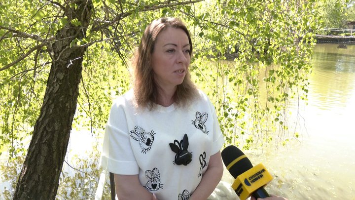 У Луцьку за кілька метрів від кав'ярні лебеді звили гніздо - готуються до появи пташенят