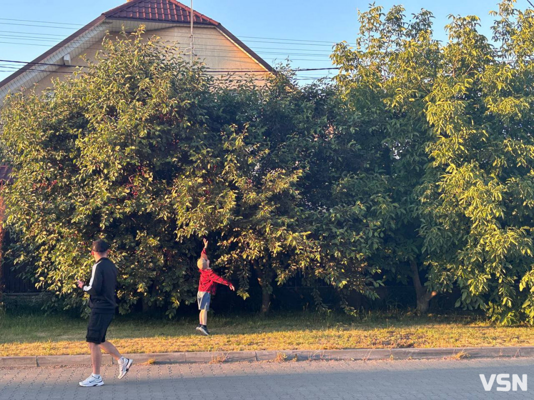 Затишок за кілька хвилин від Луцька: чим живуть сучасні Липини. Фоторепортаж