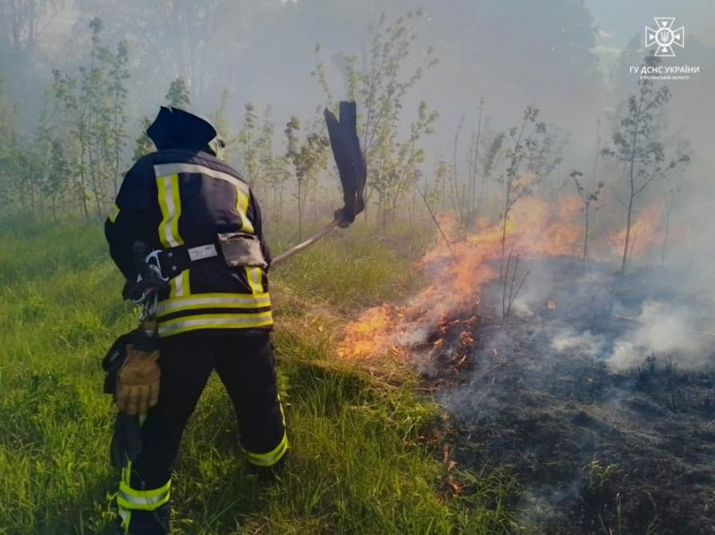 «Горить суха трава»: на Волині за добу загасили дві пожежі