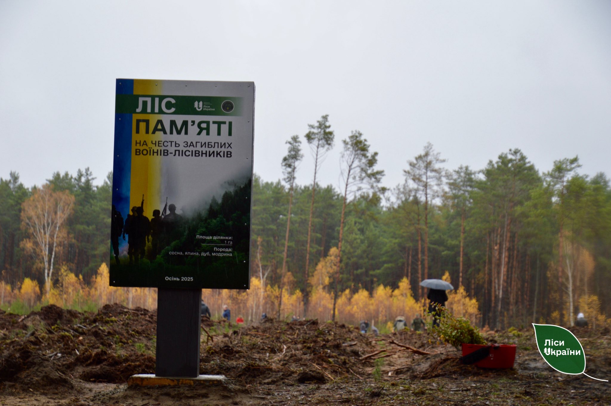 На Волині висадили «Ліс памʼяті» на честь воїна-лісівника Миколи Курана