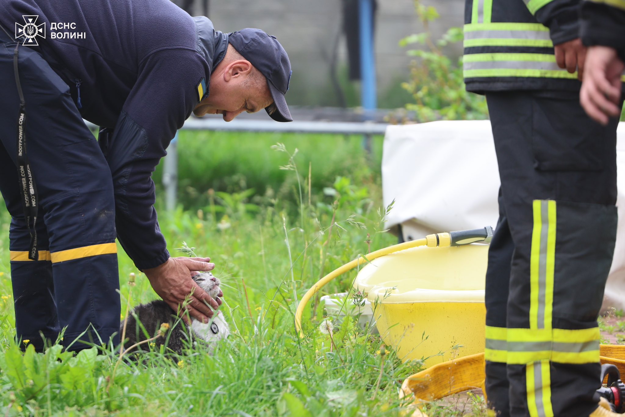 У Луцьку із задимленого будинку рятувальники винесли собаку Ская і кота Любарта